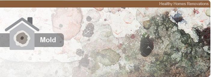 Healthy Homes Renovations - Make sure your home is a healthy one.