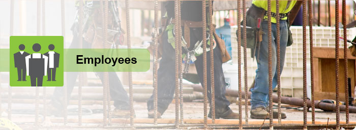 Healthy Workplaces - Employees