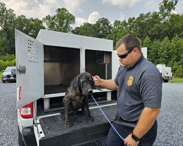 Bridgeville Couple Charged With Animal Cruelty