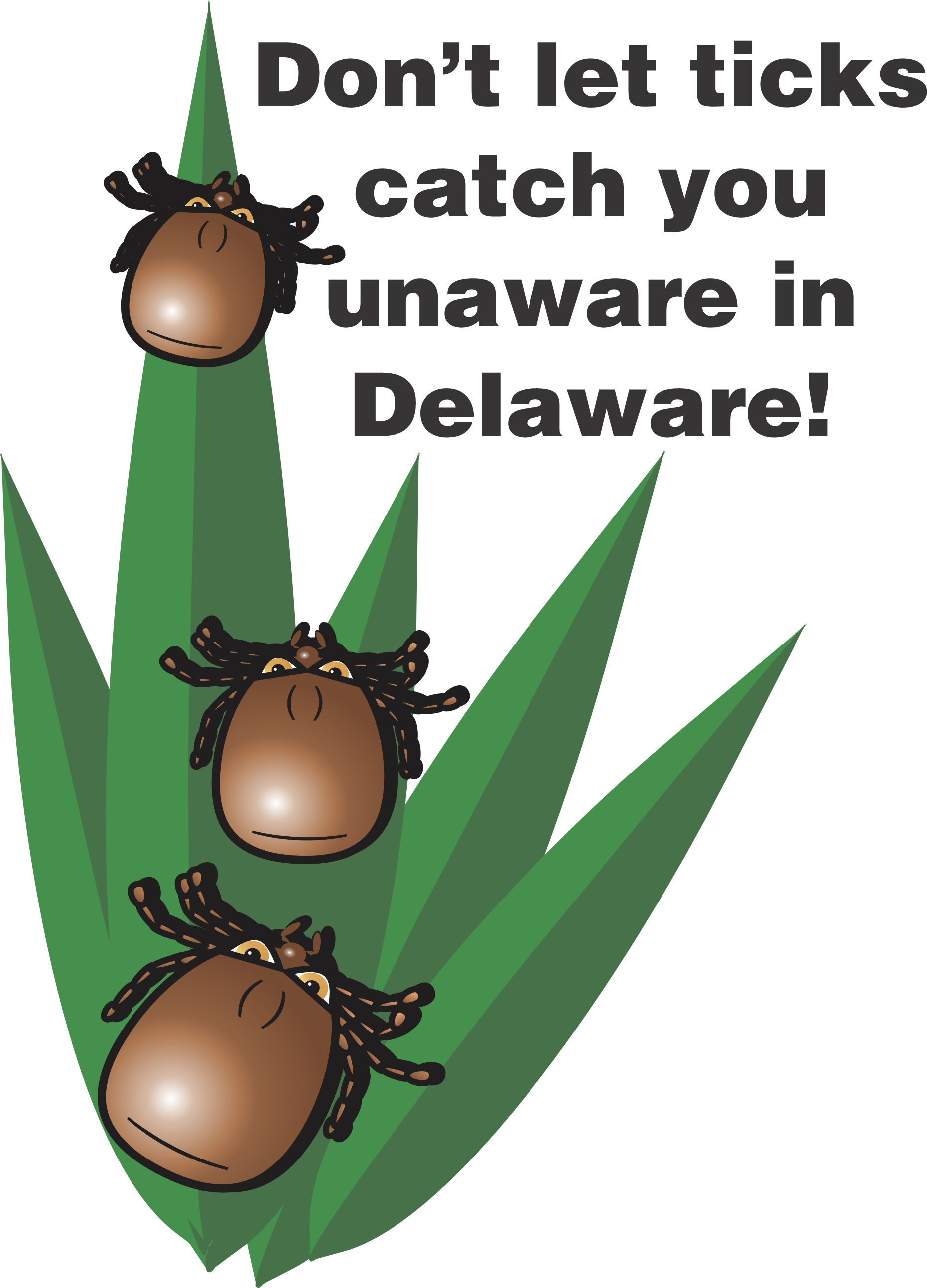Delaware Issues Tick Safety Tips as Peak Season Arrives